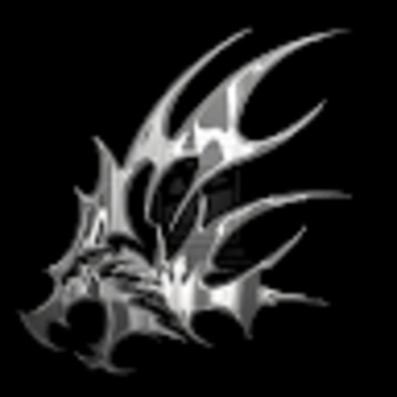 Meet your Posher, Ali - Picture 1 of 1